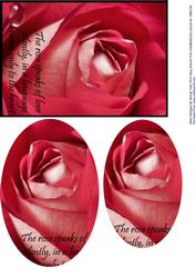 Dewdrops on Roses Oval Pyramid Card