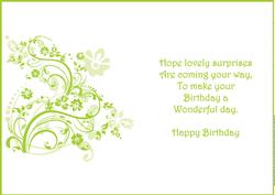 Have a Wonderful Birthday Insert