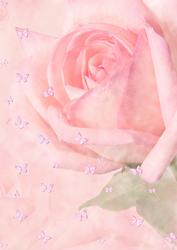 Rosy Butterflies Backing Paper