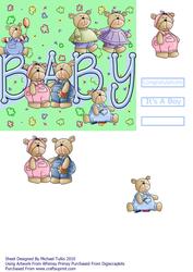 Baby Boy Bears