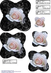 Black and White Sympathy Rose