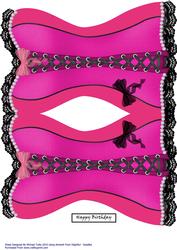 Sinfully Sexy Pink Shaped Corset