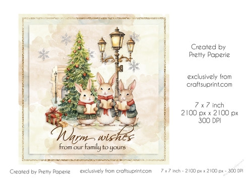 Card Topper - Christmas Card - Warm Wishes from our Family to Yours