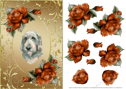 Griffon Nivernaise Dog And Roses Card Front