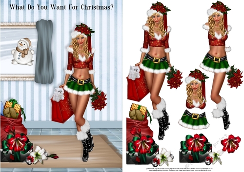 What Do You Want For Christmas? Card Front
