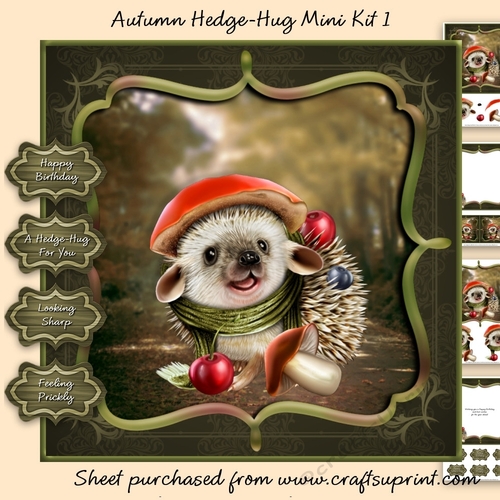 Autumn Hedge-Hugs Mini Kit 1