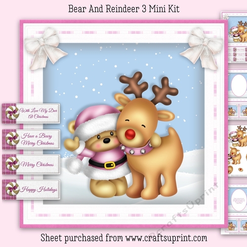 Bear And Reindeer Mini Kit 3