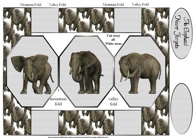 An Elephant Never Forgets Octagon Shaped Pop-up Card