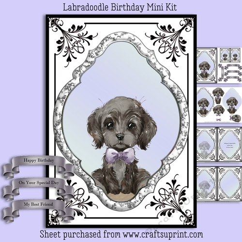 Labradoodle Birthday Mini Kit