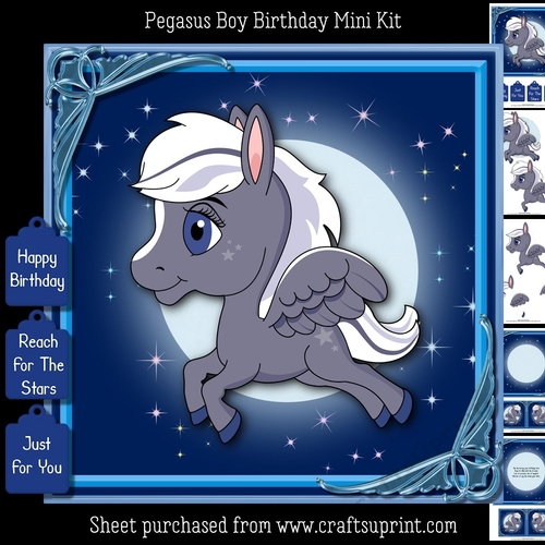 Cute Pegasus Boy Mini Kit