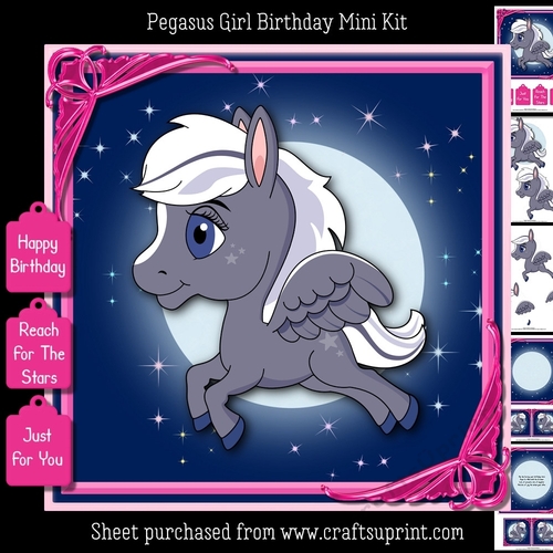 Cute Pegasus Girl Mini Kit