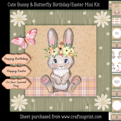 Cute Bunny & Butterfly Birthday / Easter Mini Card Kit