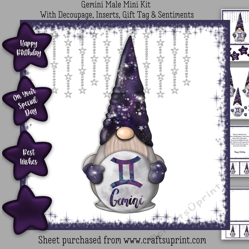 Gemini Male Gnome Mini Kit