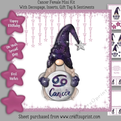Cancer Female Gnome Mini Kit
