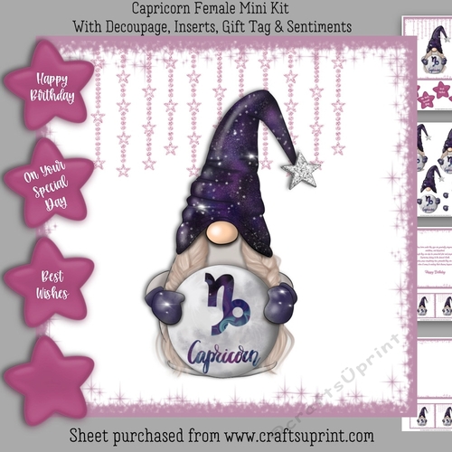 Capricorn Female Gnome Mini Kit