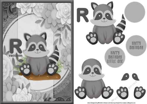 R Is For Raccoon
