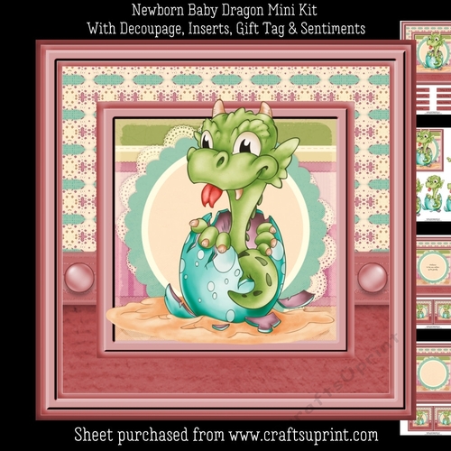 Newborn Baby Dragon (Multi-Use) Mini Kit
