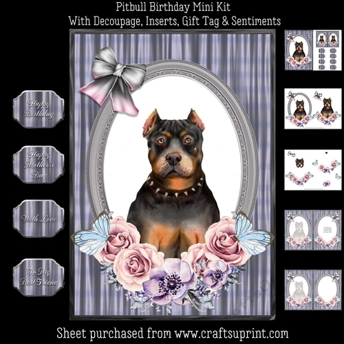 Pitbull Birthday Mini Kit