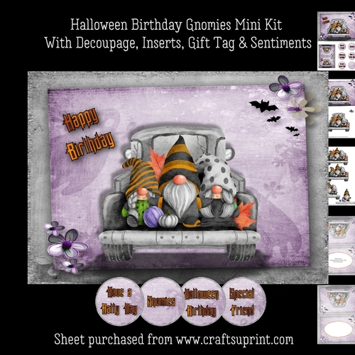 Halloween Birthday Gnomies Mini Kit
