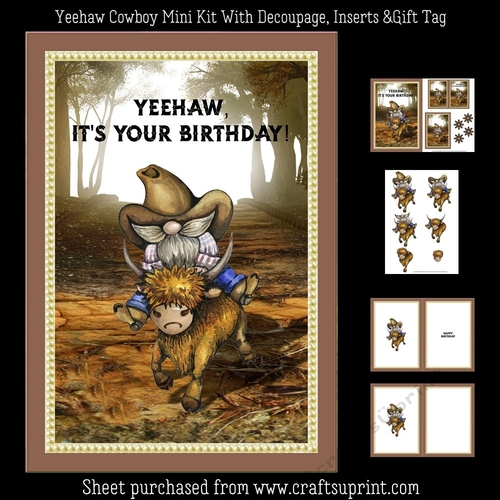 Yeehaw Cowboy Mini Kit