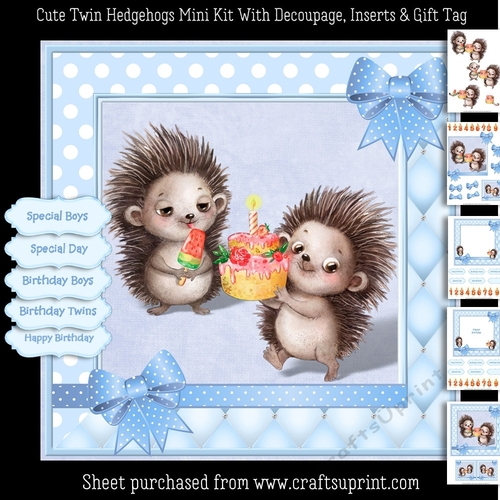 Cute Twin Boy Hedgehogs Mini Kit