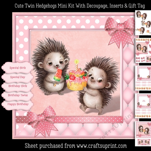 Cute Twin Girl Hedgehogs Mini Kit