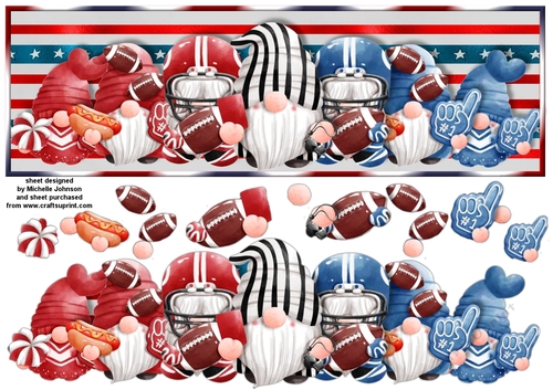 American Football Gnomies Large DL Card