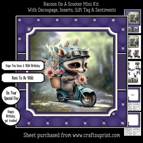 Racoon On A Scooter Mini Kit
