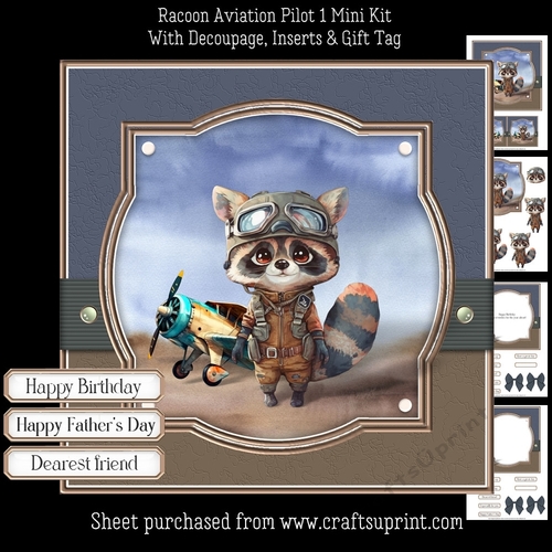 Racoon Aviation Pilot 1 Mini Kit