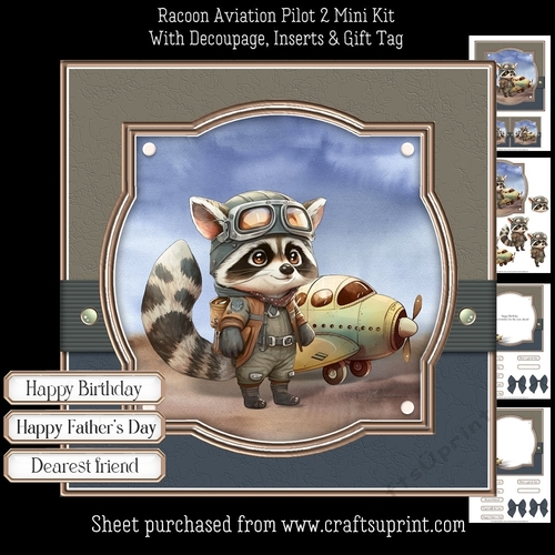 Racoon Aviation Pilot 2 Mini Kit