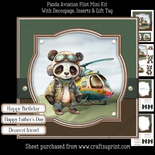 Panda Aviation Pilot Mini Kit