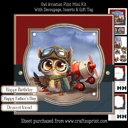 Owl Aviation Pilot 1 Mini Kit
