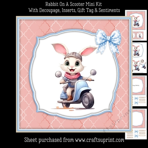 Rabbit On A Scooter Mini Kit