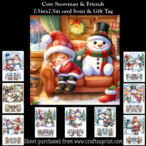 Cute Snowman & Friends (Winter Birthday or Christmas) Kit