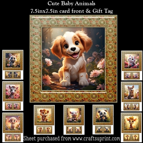 Cute Baby Animals Mini Kit With Gift Tags