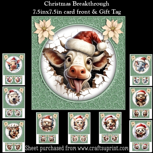 Christmas Breakthrough Mini Kit With Gift Tag