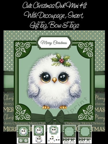 Cute Christmas Owl Mini Kit