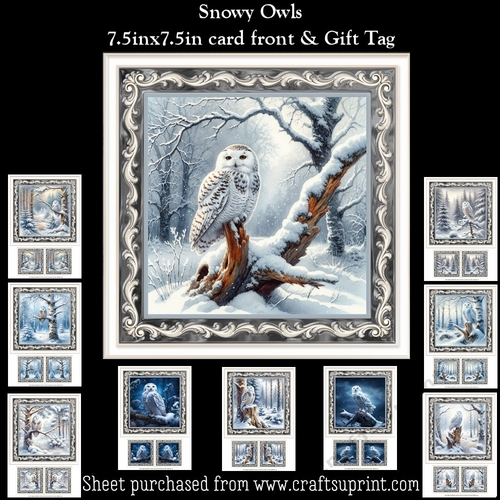 Snowy Owl Mini Kit (Winter Birthday or Christmas)