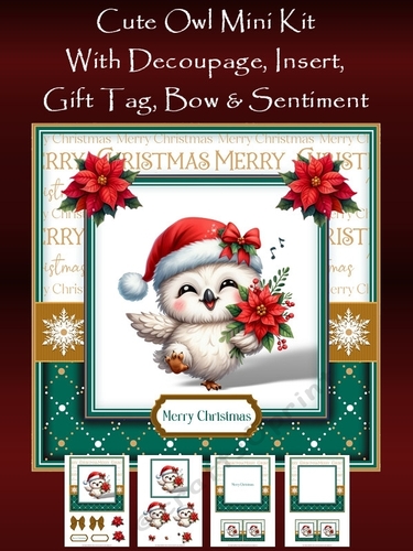 Cute owl Christmas Mini Kit