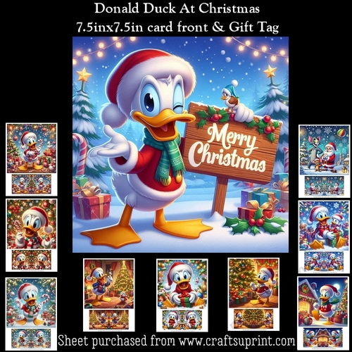 Donald Duck At Christmas Mini Kit With Gift Tag