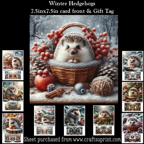 Winter Hedgehogs Mini Kit (Christmas Or Winter Birthday)