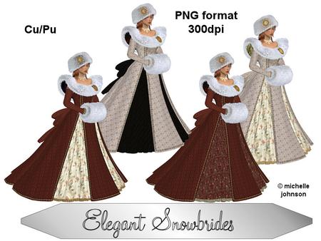 Elgant Snowbride Posers