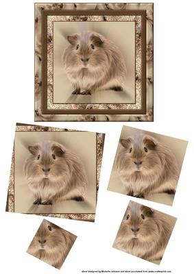 Guinea Pig Twisted Pyramage