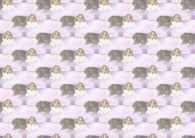 Lassie the Collie Dog Vellum