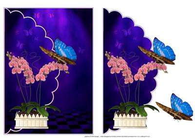 Oriental Orchids and Butterflies Scalloped Edge Card