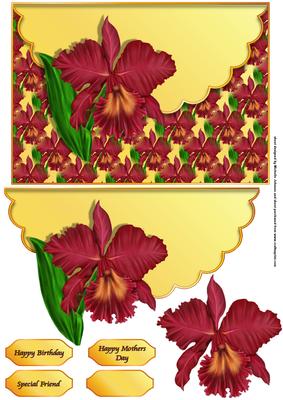 Red and Orange Orchid Scalloped Edge Envelope Card