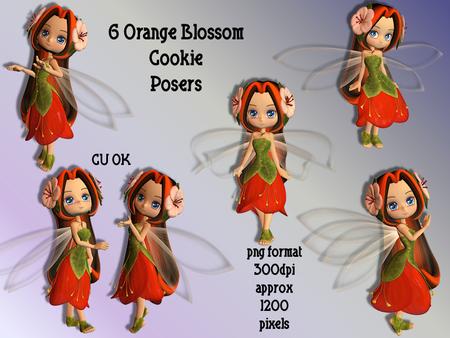 6 Orange Blossom Cookie Posers