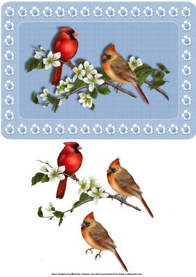 Cardinals Card Front