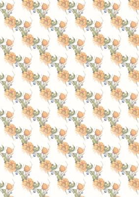 Orange Beauty Vellum