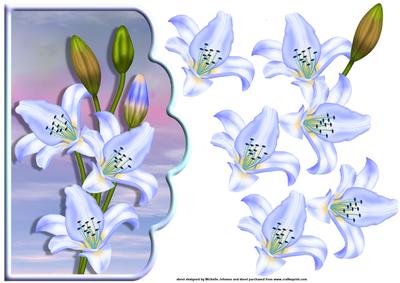 Blue Lilies Scallope Edge Curve Card